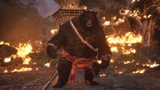 Black Bear Guai