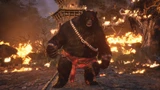 Black Bear Guai