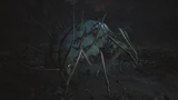 Centipede Guai