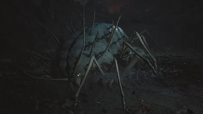 Centipede Guai
