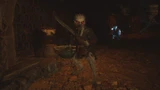 Civet Sergeant