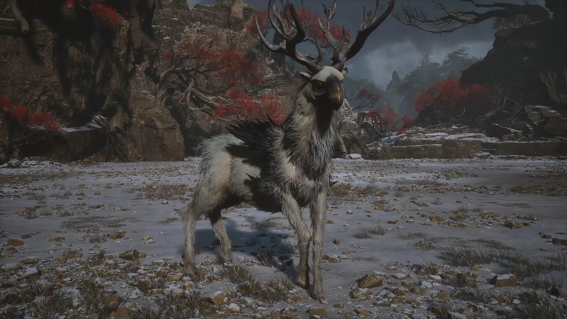 Cloudtreading Deer