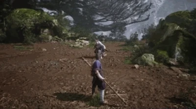 Commander Beetle (Spirit)