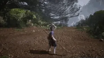 Crow Diviner (Spirit)