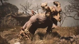 Earth Wolf