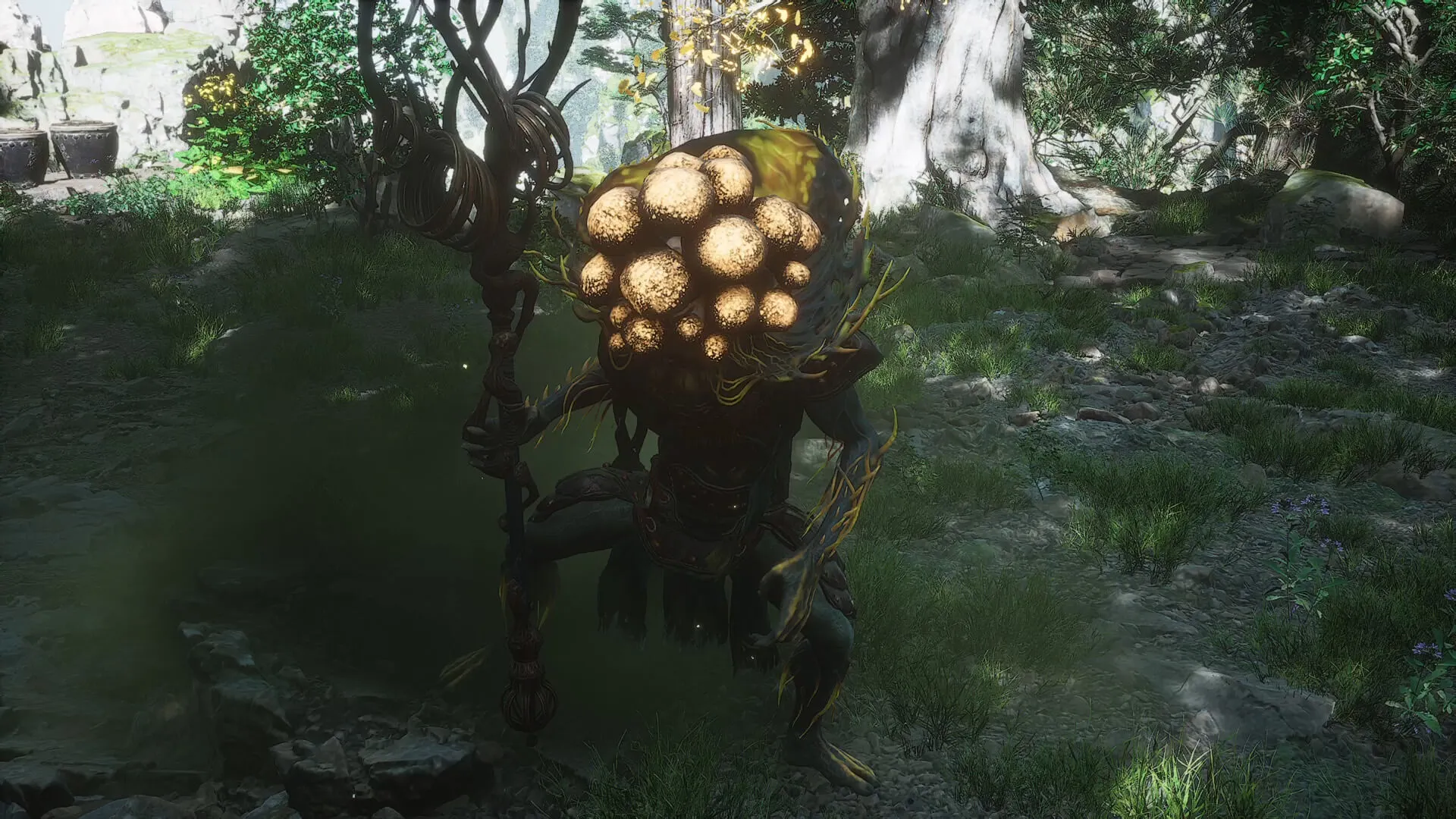 Fungiwoman