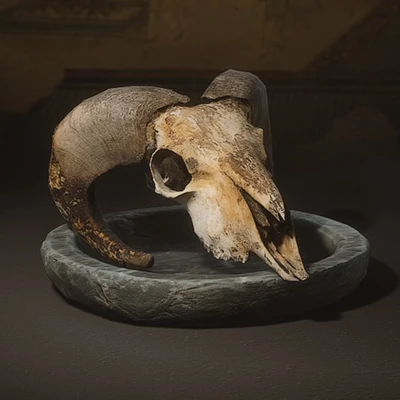 Goat Skull