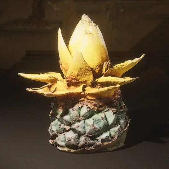 Golden Lotus