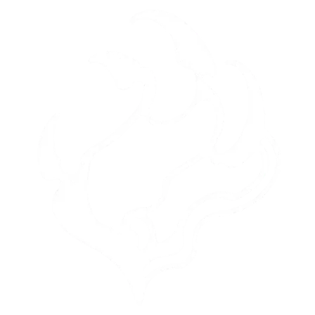 Spells