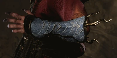 Loongscale Armguard
