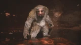 Mad Tiger