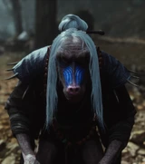 Mandrill Chief