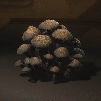 Monkey-Head Fungus