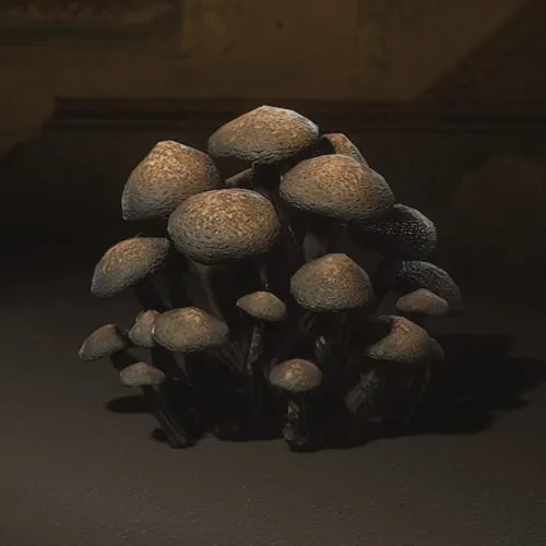 Monkey-Head Fungus