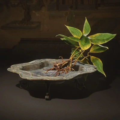 Mount Lingtai Seedlings