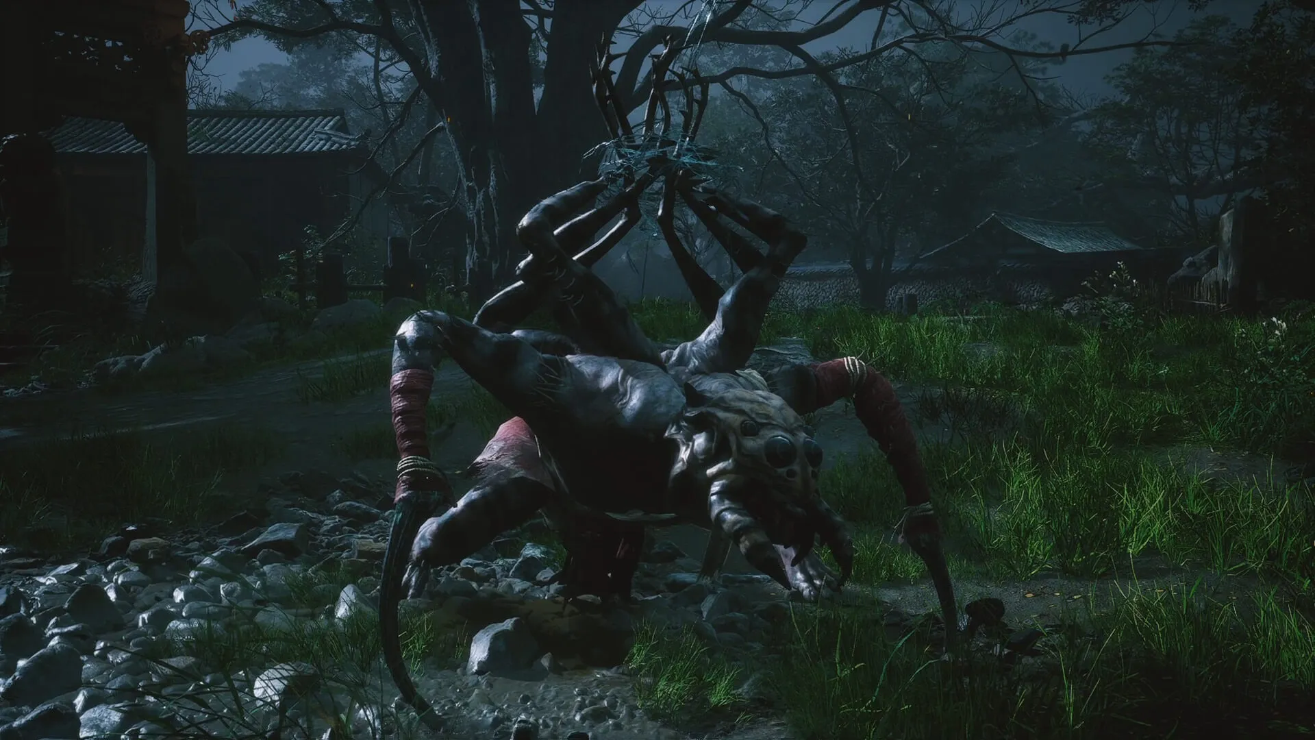 Puppet Spider