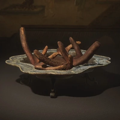 Robust Antler