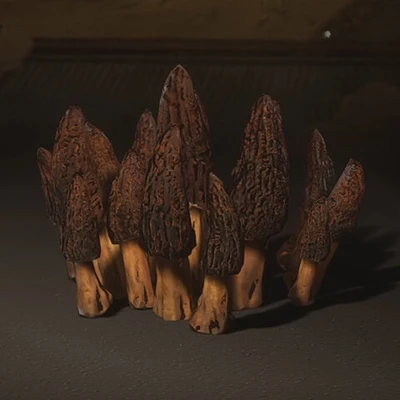 Snake-Head Mushroom