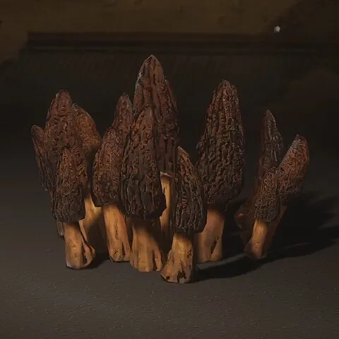 Snake-Head Mushroom