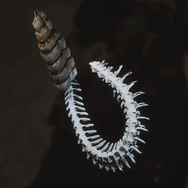 Spine in the Sack