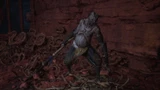Starved Abomination