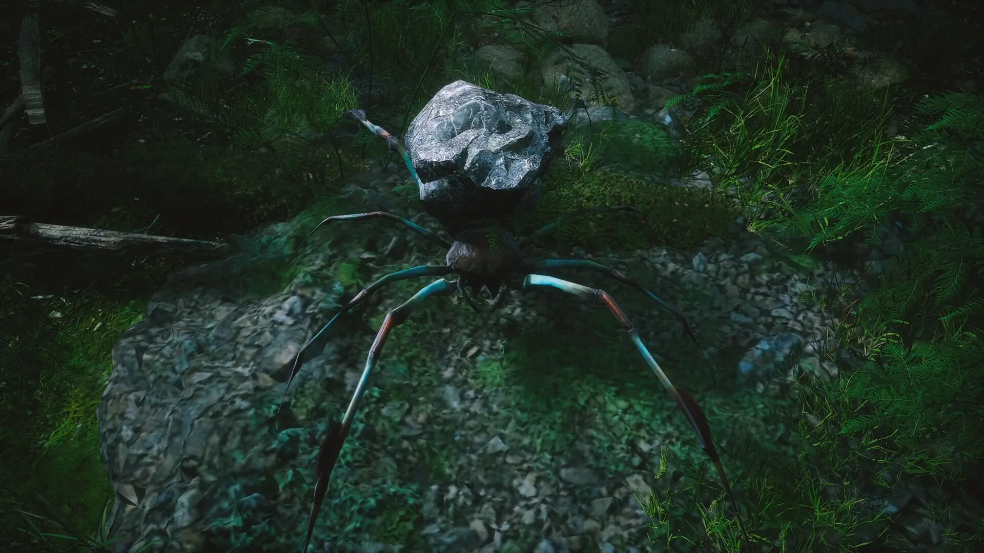Stone Spider