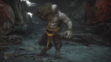 Supporter Monk
