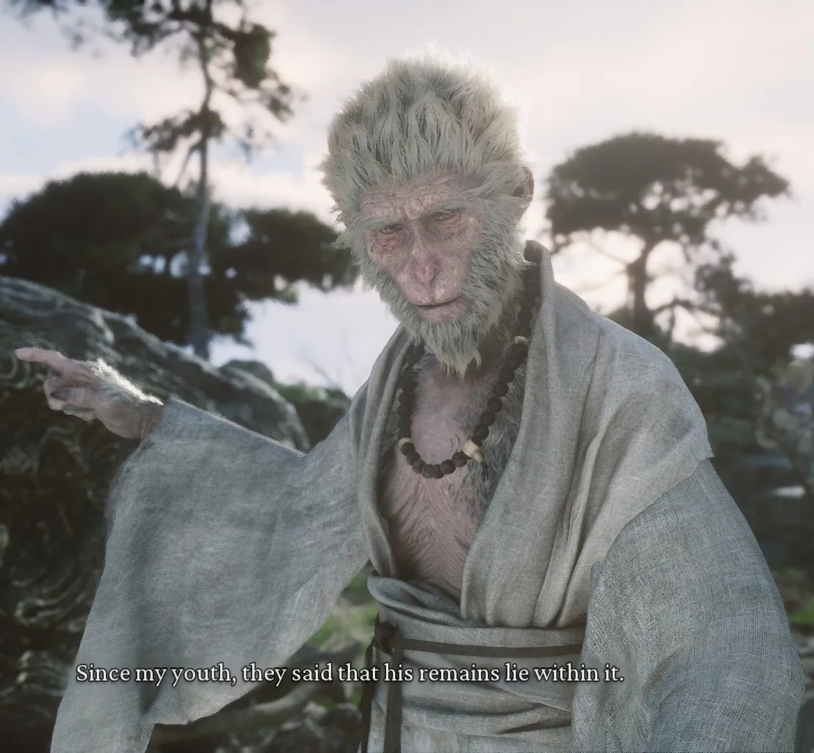 The Old Monkey