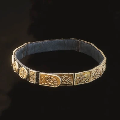 Tiger Tendon Belt