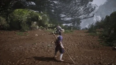 Tiger's Acolyte (Spirit)