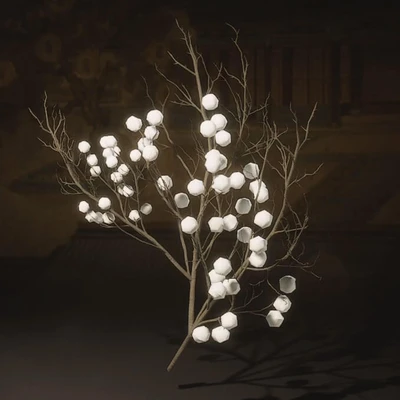 Tree Pearl