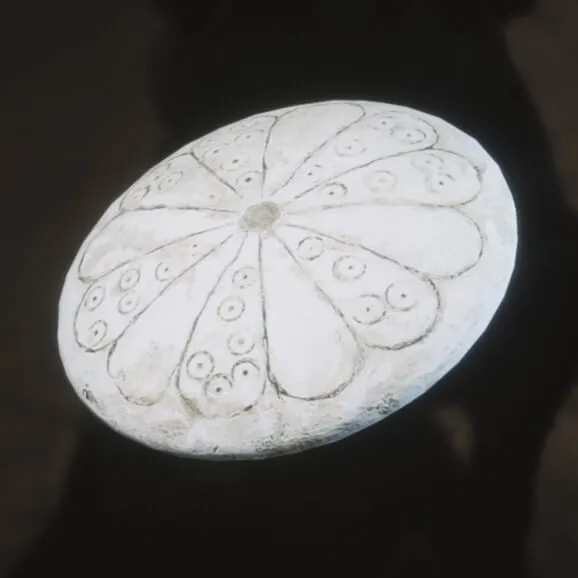 Tridacna Pendant