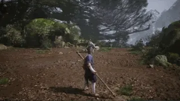 Turtle Treasure (Spirit)