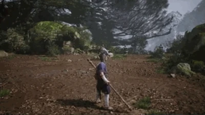 Turtle Treasure (Spirit)