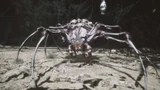 Violet Spider