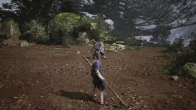 Wolf Assassin (Spirit)