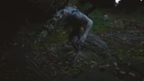 Wolf Assassin