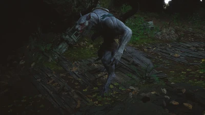 Wolf Assassin
