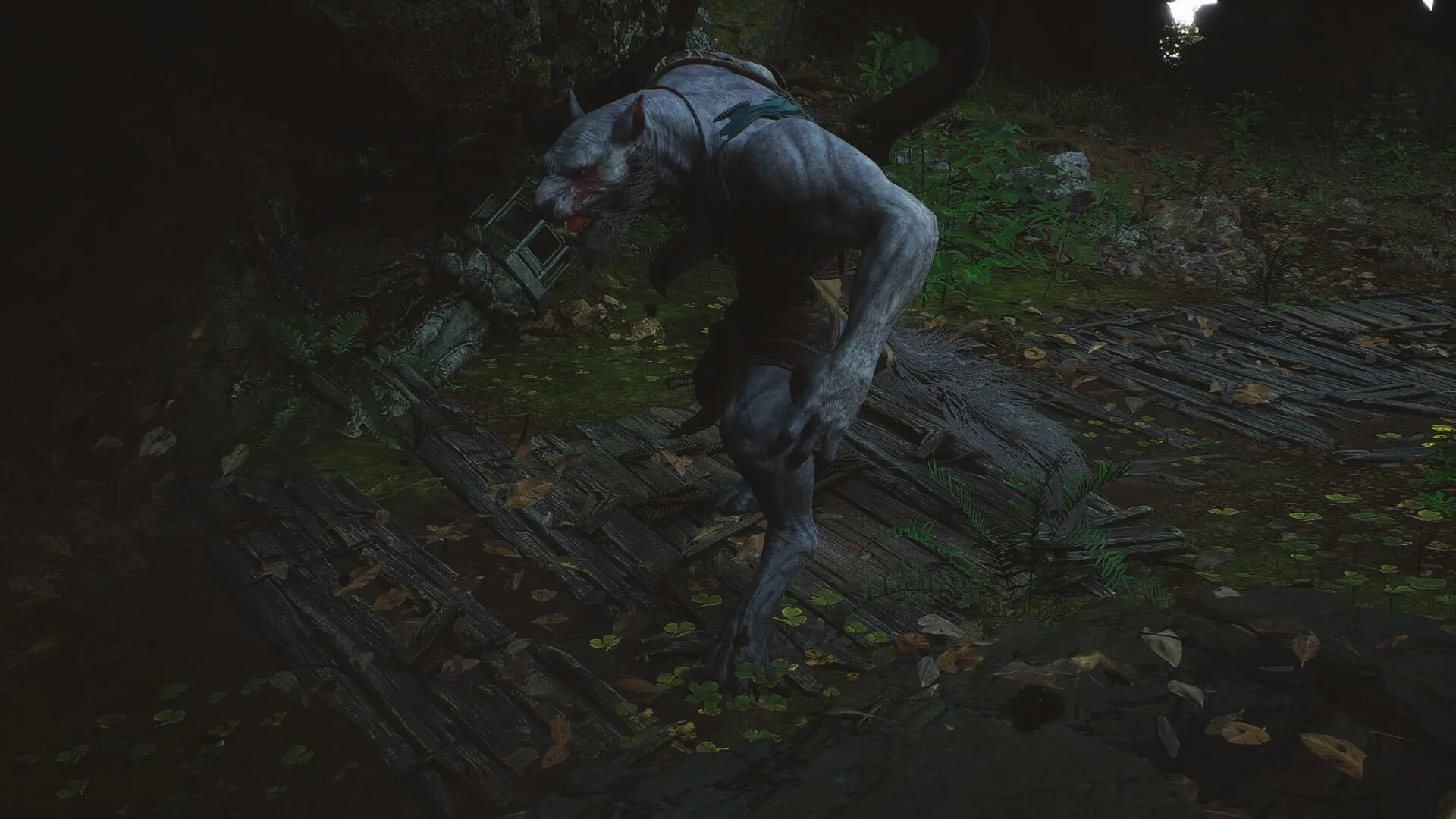 Wolf Assassin