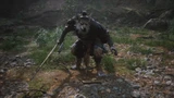 Wolf Scout