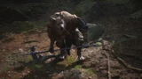 Wolf Stalwart