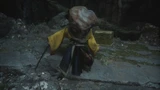 Worm Practitioner