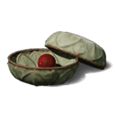 Yang Supplementing Pill